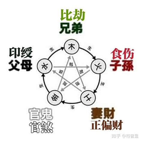 十神六亲|十神六亲，详解八字中十神六亲的具体内容